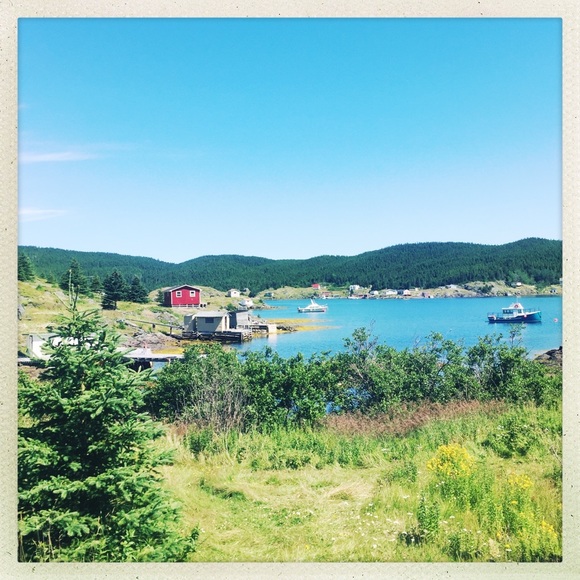 Meet your Posher, Joan - Picture 7 of 10